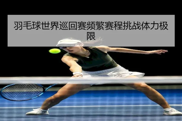 yu-mao-qiu-shi-jie-xun-hui-sai-pin-fan-sai-cheng-tiao-zhan-ti-li-ji-xian-2-699.jpg